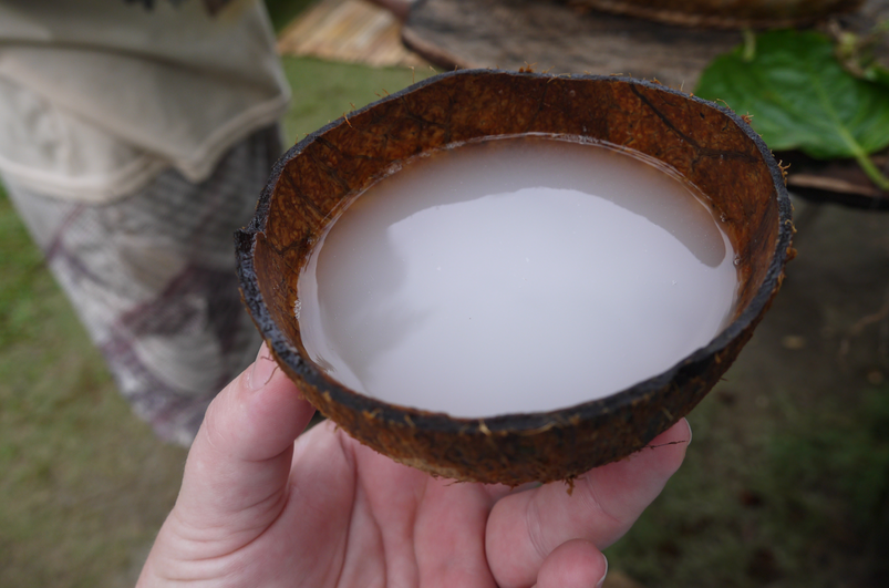 Tubâ à Quezon, Laguna et Bulacan (Phlippines), un vin de noix de coco variété blanche laiteuse